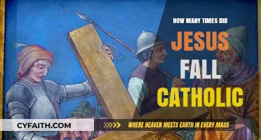 Jesus' Falls: Catholic Perspective on Suffering
