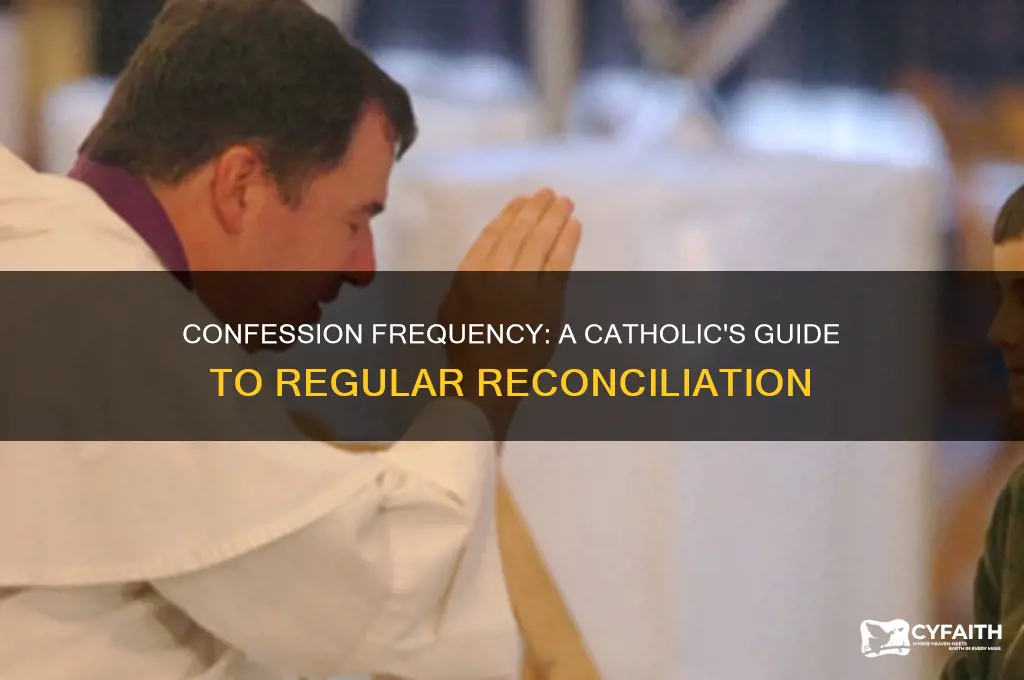 how many times should a catholic go to confession