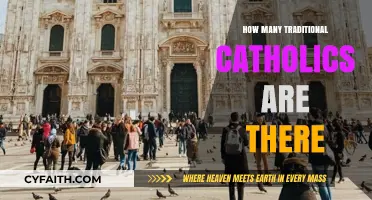 Traditional Catholics: How Many Are There?