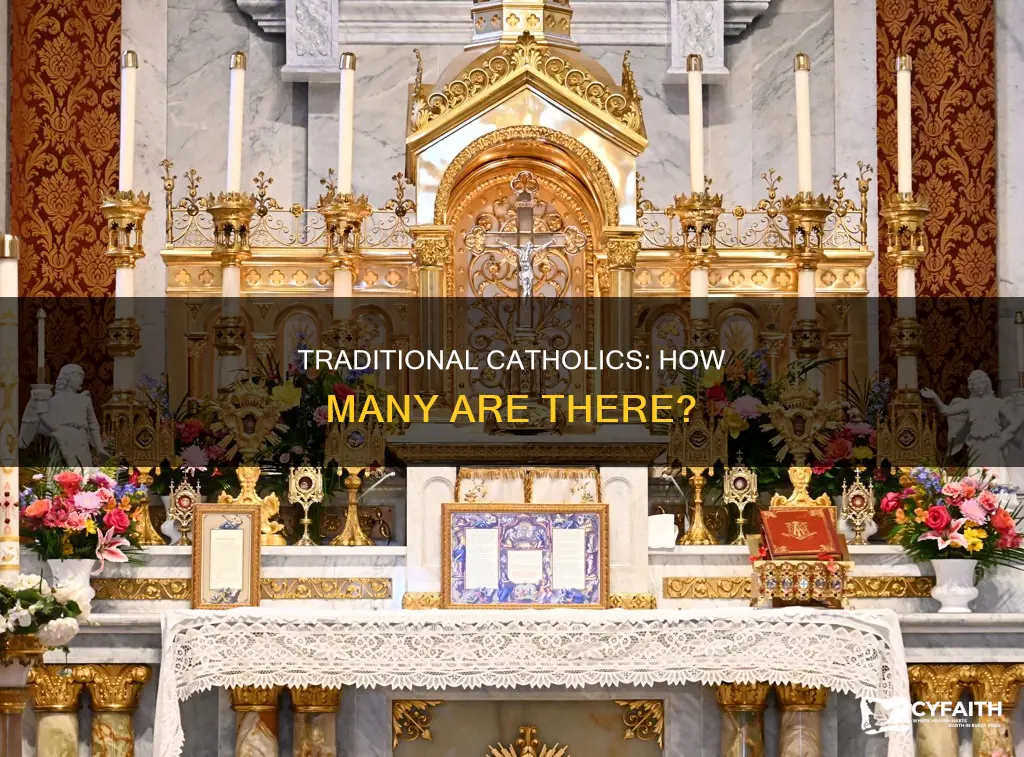how many traditional catholics are there