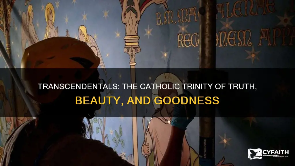 how many transcendentals are there catholic
