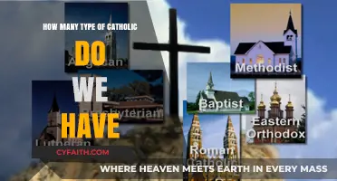 Diverse Catholic Types: How Many Are There?