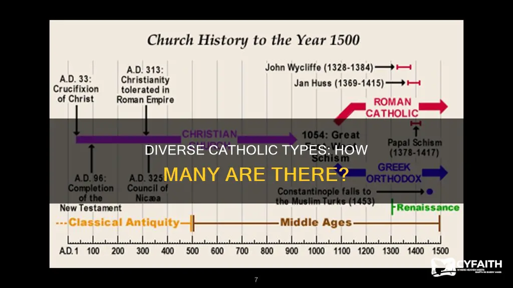 how many type of catholic do we have