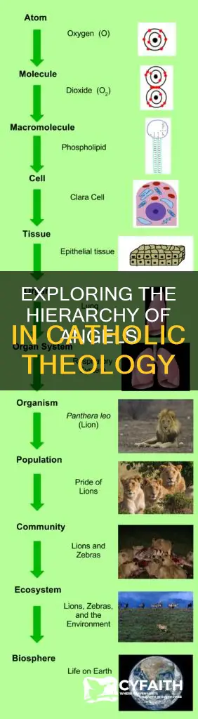 how many types of angels are there catholic