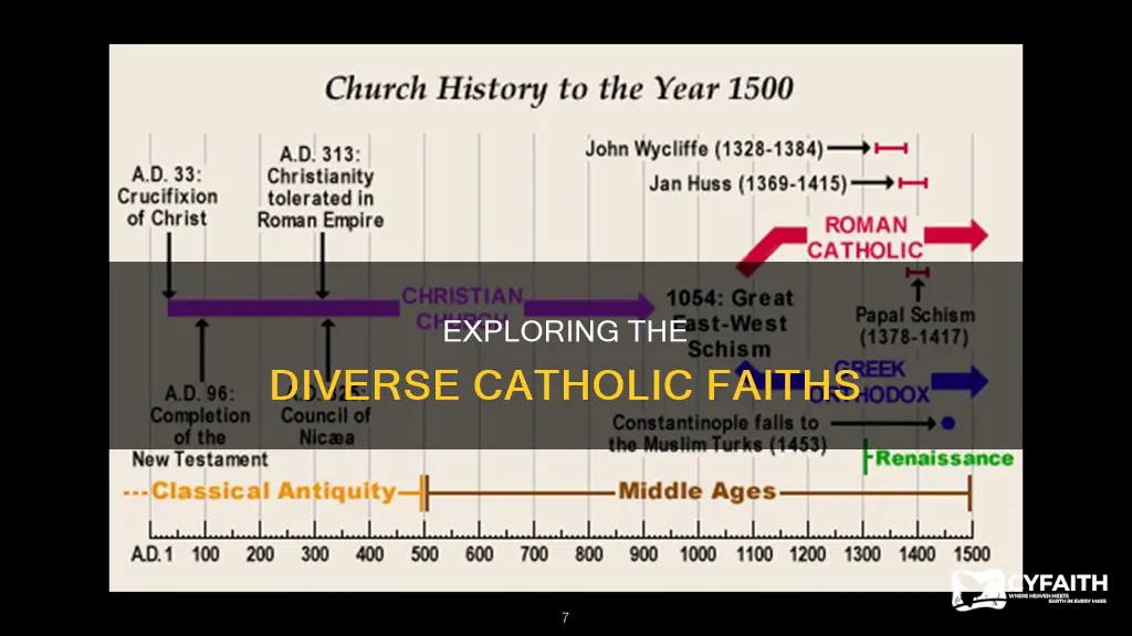 how many types of catholic religions are there