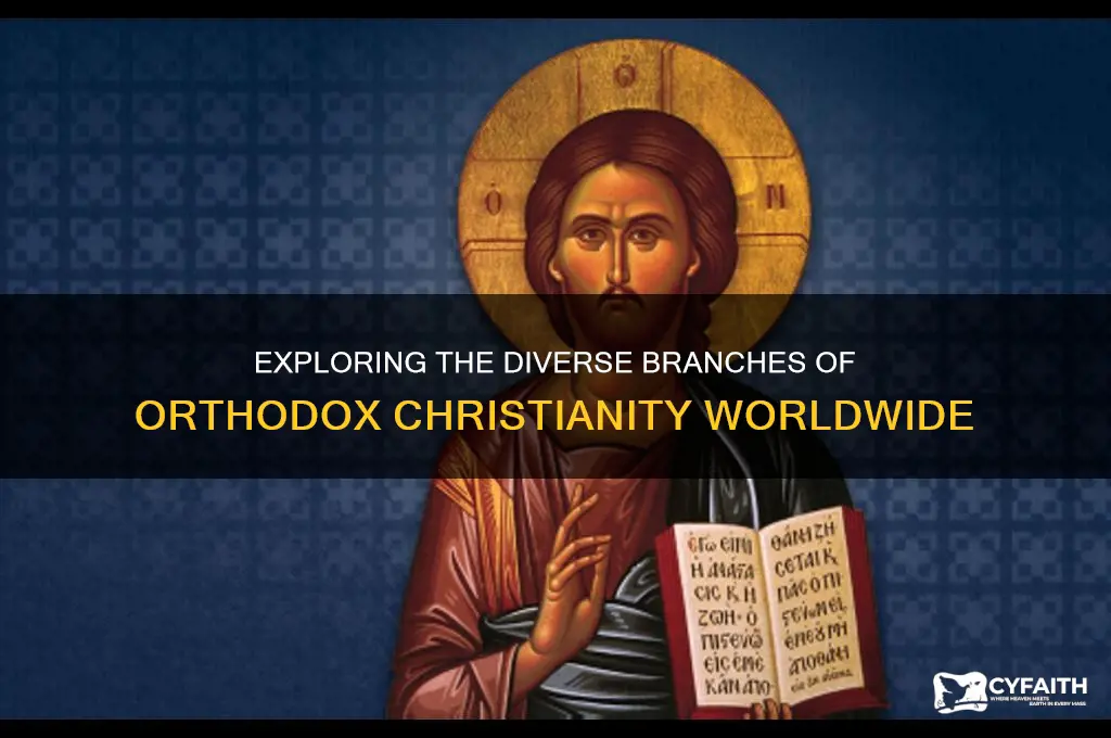 how many types of orthodox are there