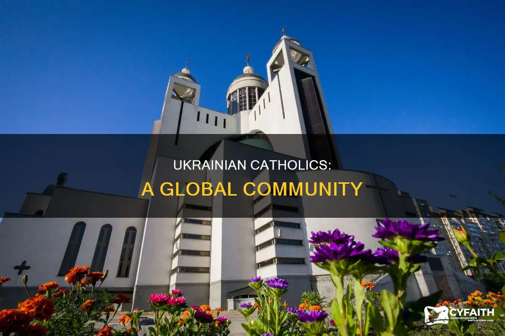 how many ukrainian catholics in the world