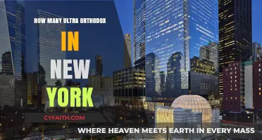 Ultra-Orthodox Population in New York: Size, Growth, and Community Insights
