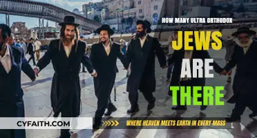 Ultra-Orthodox Jewish Population: Global Estimates and Community Insights