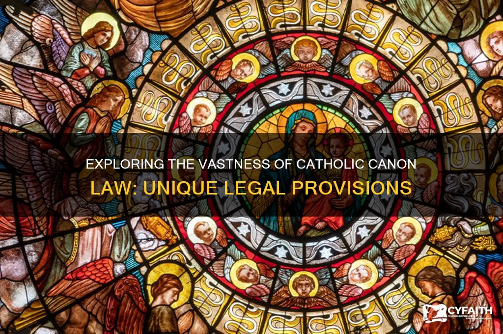 how many unique laws are in catholic canon law