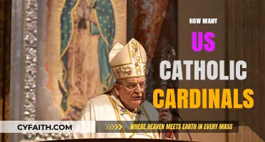 Exploring the Current Number of Catholic Cardinals in the US