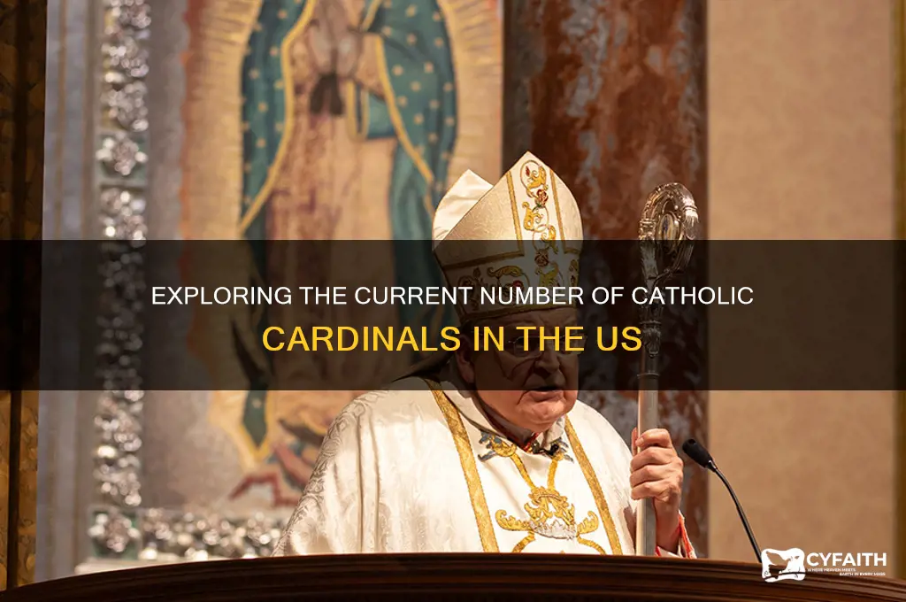 how many us catholic cardinals