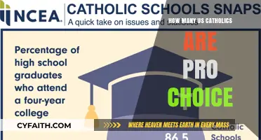 Catholics and Abortion: Exploring the Complex Views