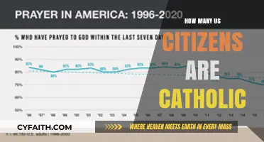Catholics in the US: A Large Minority