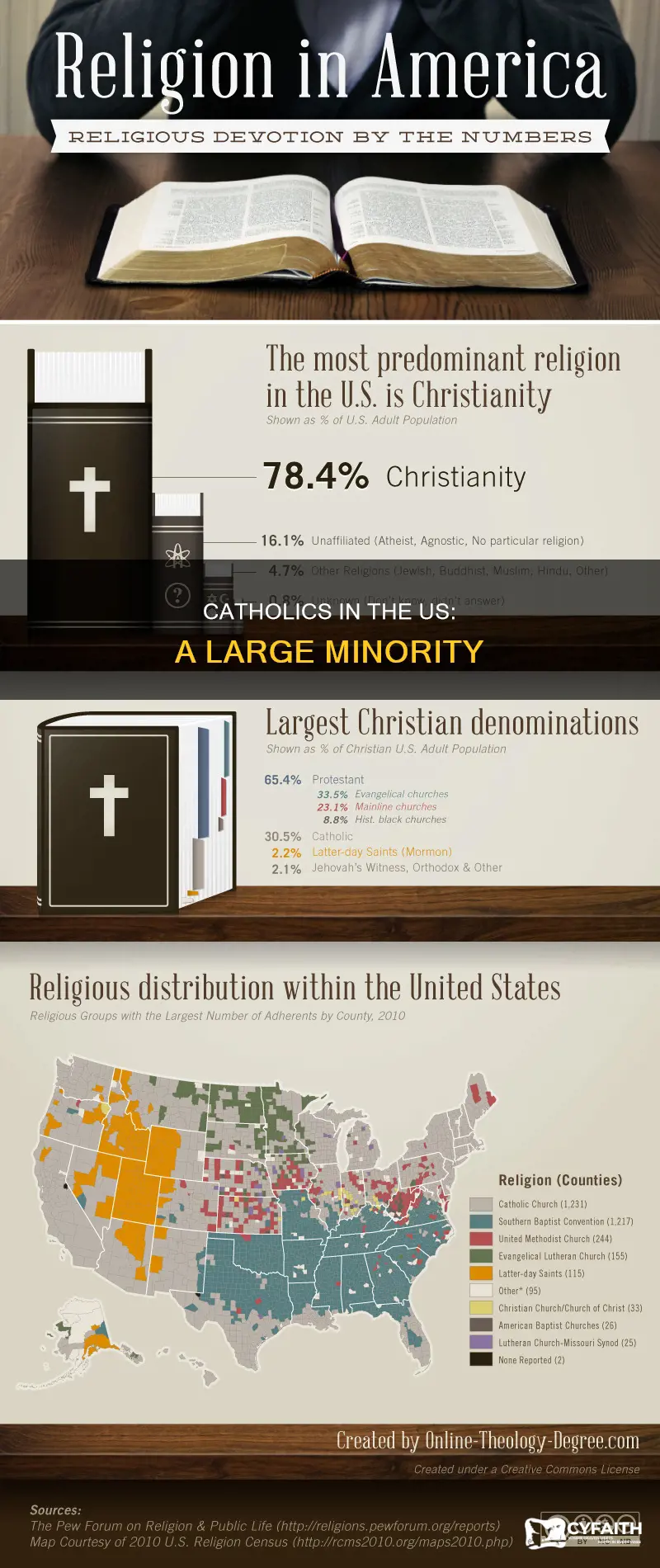 how many us citizens are catholic