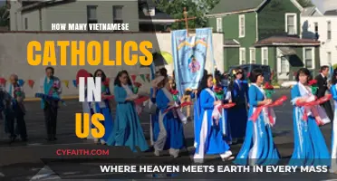 Vietnamese Catholics in the US: A Growing Community