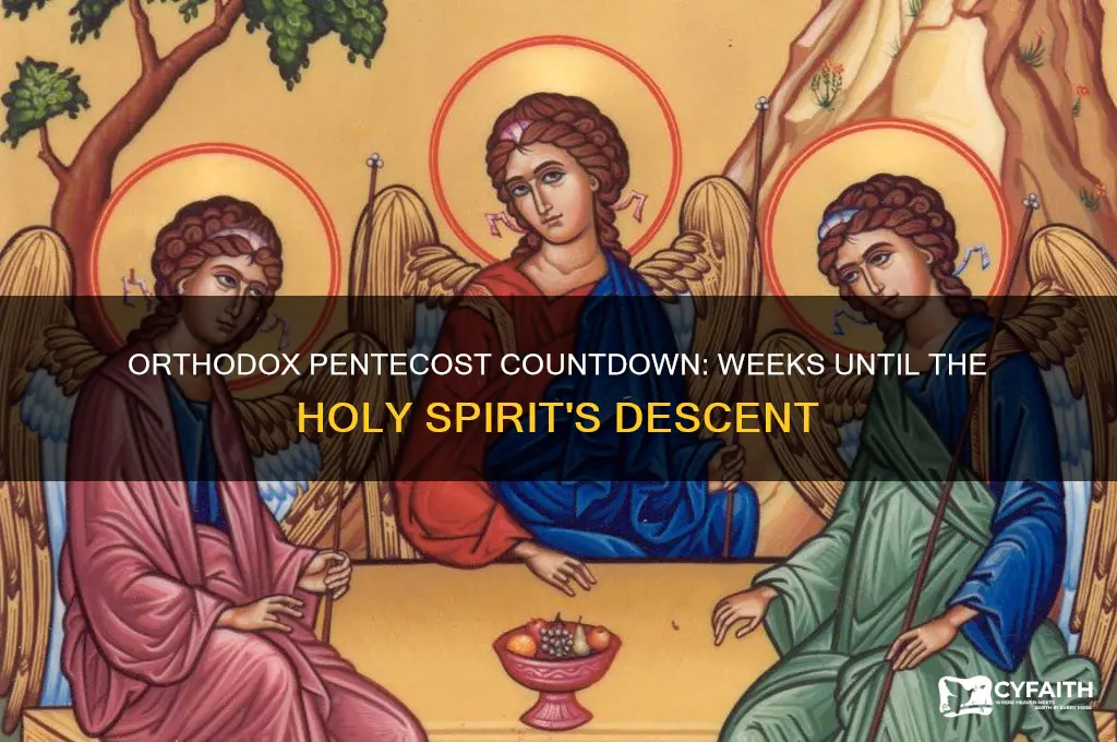 how many weeks after orthodox pentecost