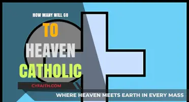 The Elect in Heaven: A Catholic Perspective