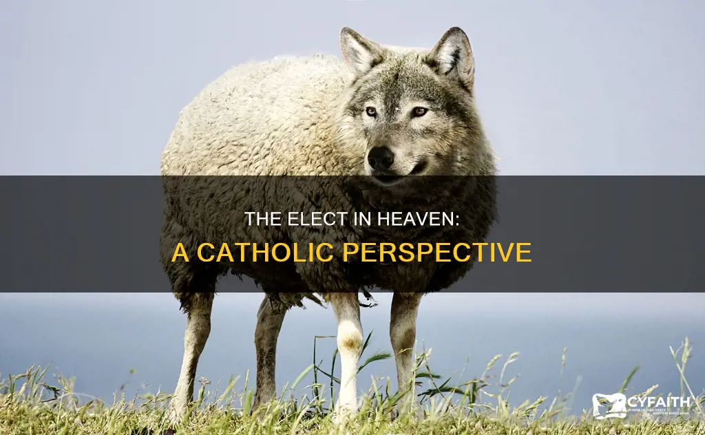 how many will go to heaven catholic