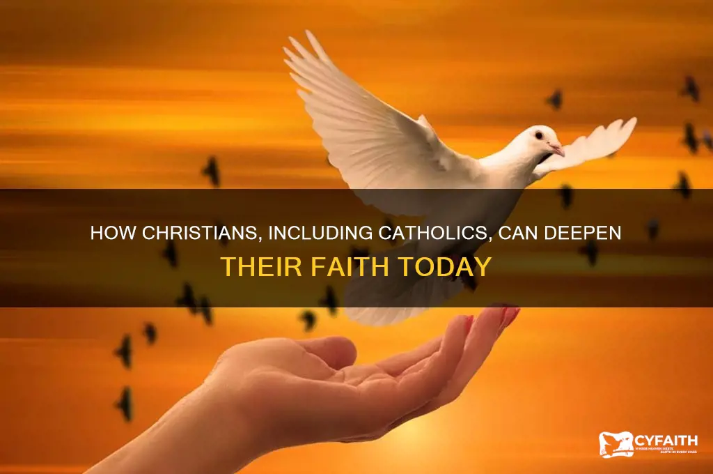 how may christians including catholics