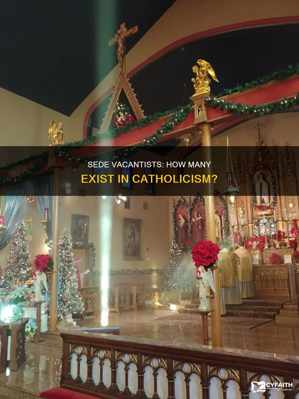 how may sede vacantist catholics are there