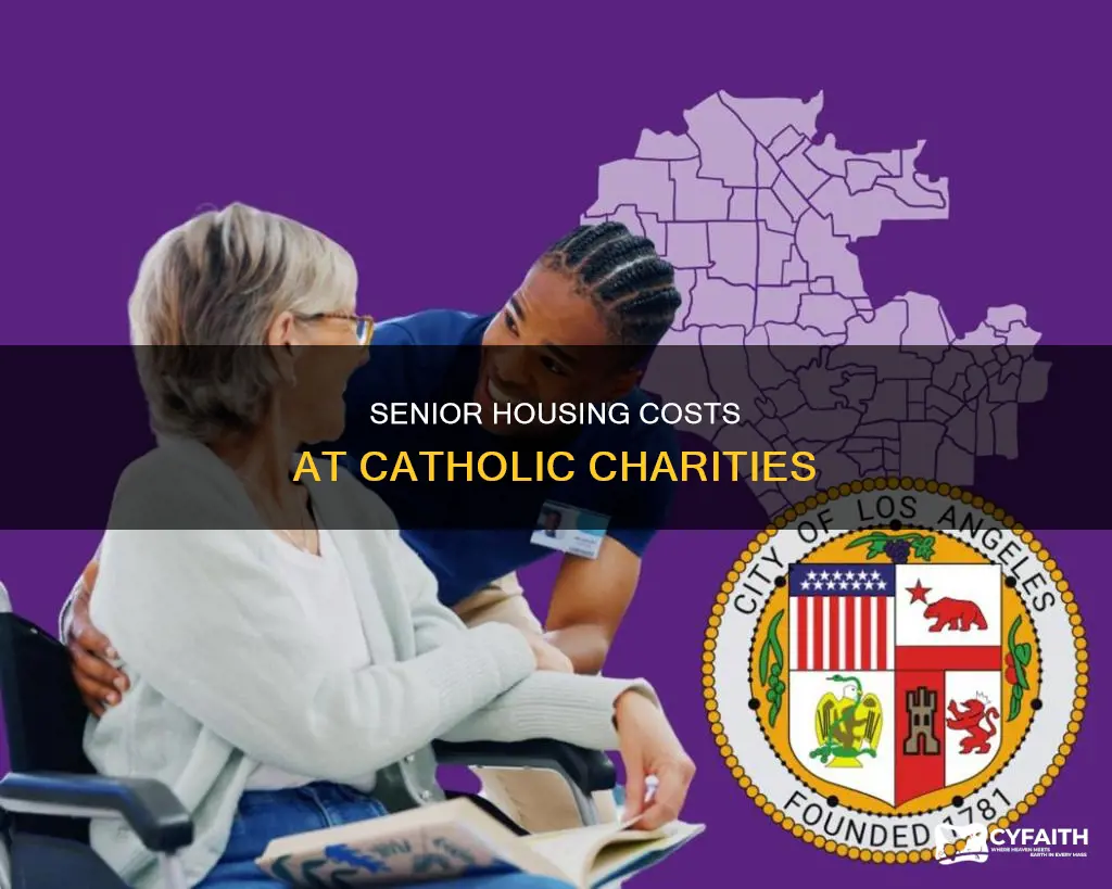 how much catholic charities senior housing cost