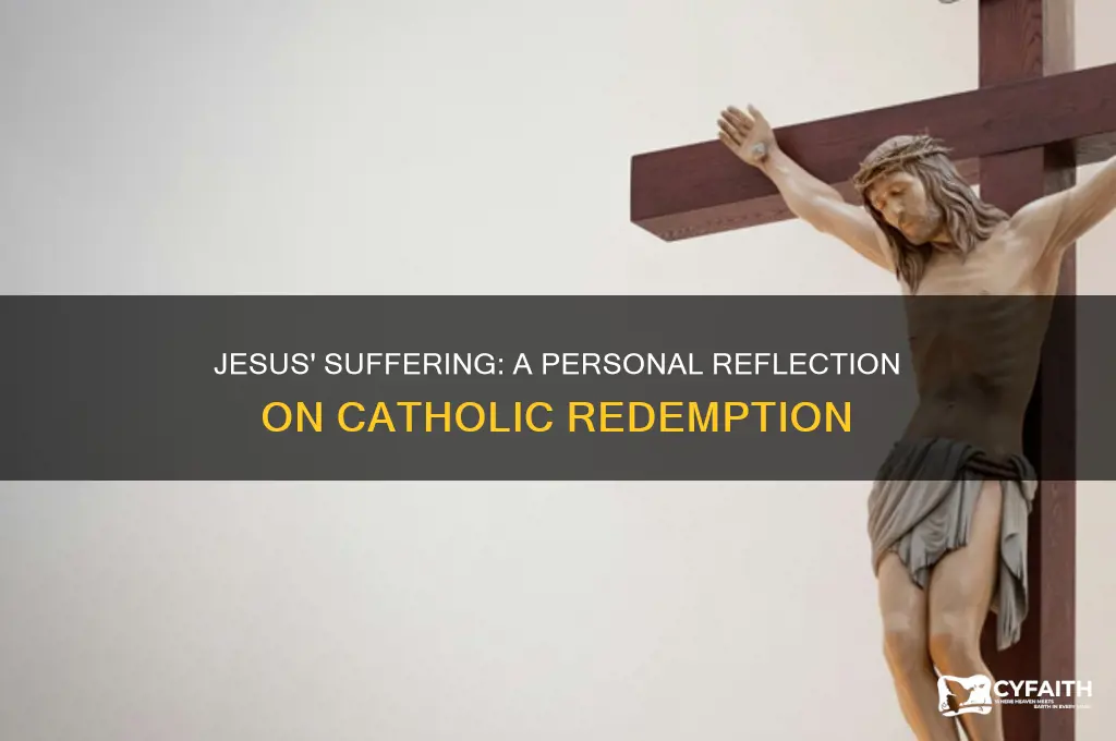 how much did jesus suffer for me individually catholic
