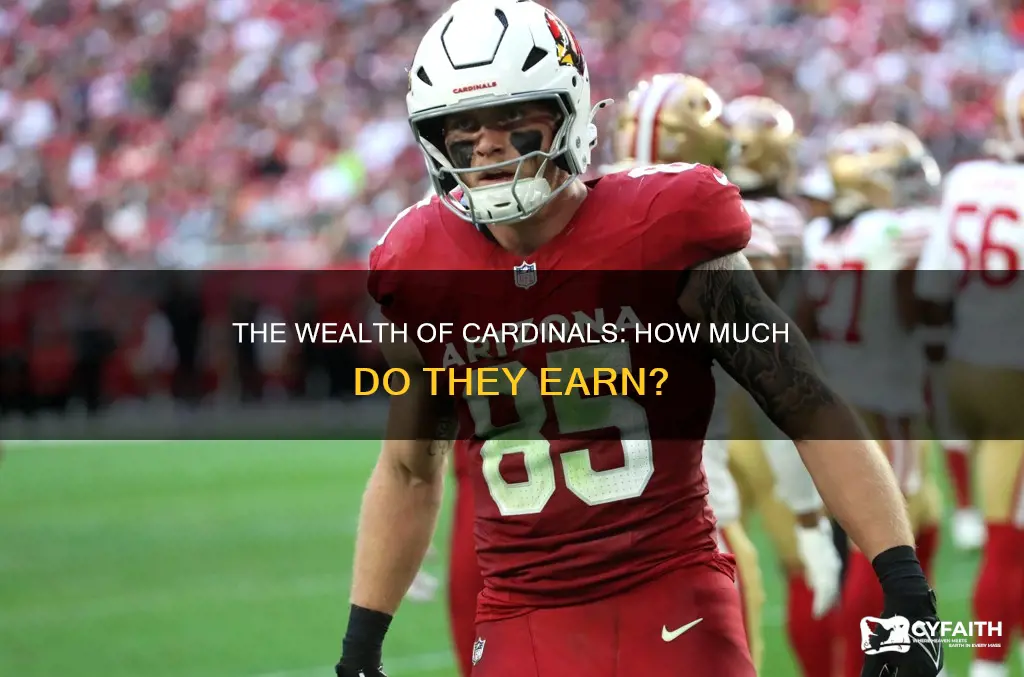 how much do catholic cardinals get paid