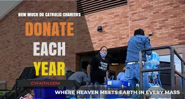 Catholic Charities: Annual Donations and Their Impact