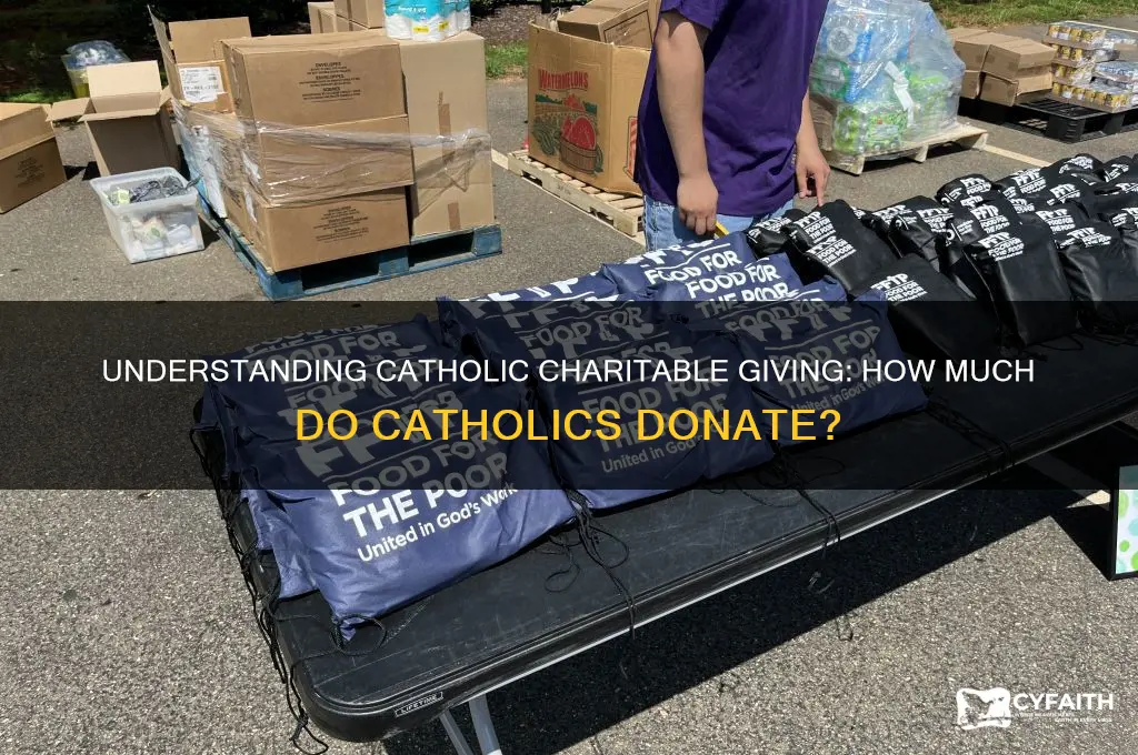 how much do catholics donate