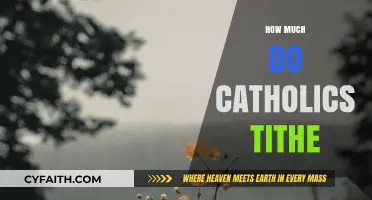 Understanding Catholic Tithing: How Much Should Catholics Contribute?