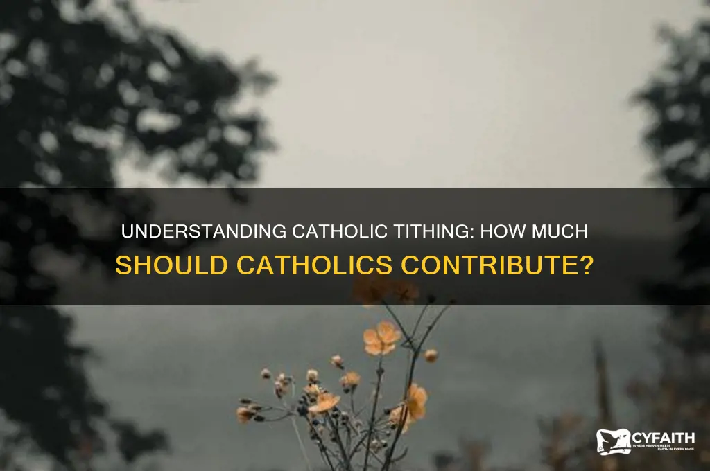 how much do catholics tithe