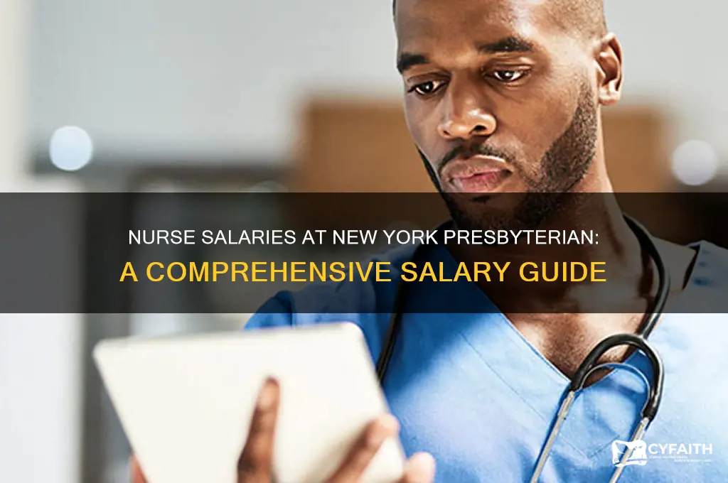 how much do nurses make at new york presbyterian