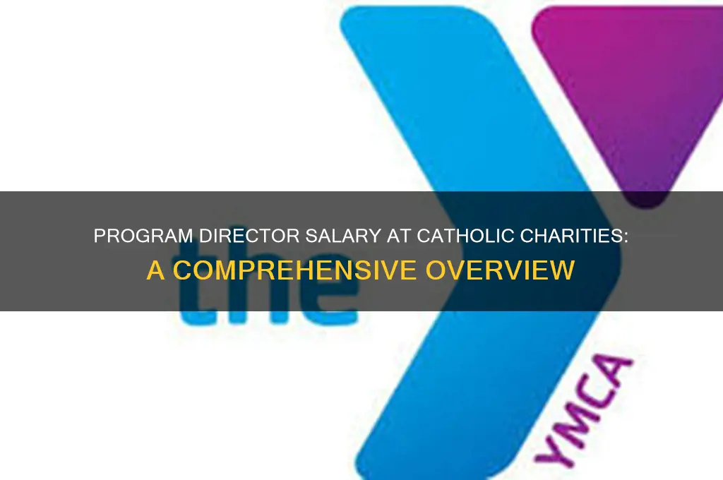 how much does a program director make at catholic charities