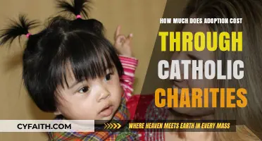 Adopting via Catholic Charities: What's the Cost?