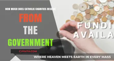 Catholic Charities Government Funding: How Much Do They Receive?