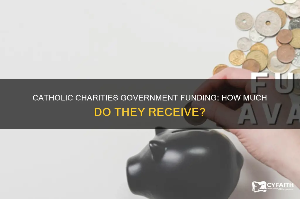 how much does catholic charities receive from the government