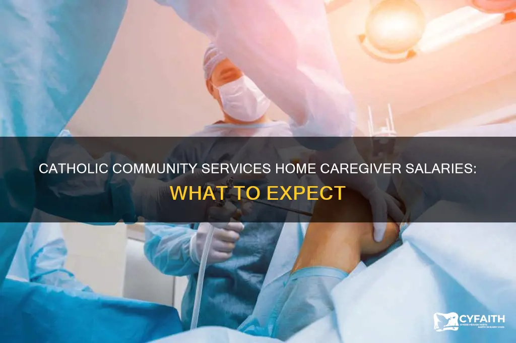 how much does catholic community services pay in home caregivers