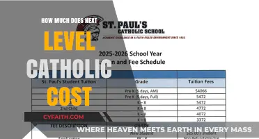 The Cost of Next Level Catholic: Is It Worth It?