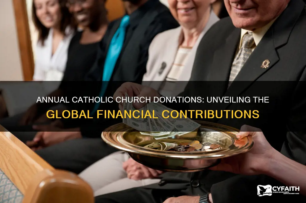 how much does the catholic chruch get donated a year