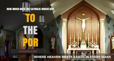 Catholic Church's Financial Contributions to the Poor: A Detailed Analysis