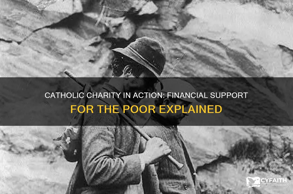 how much does the catholics provide for the poor