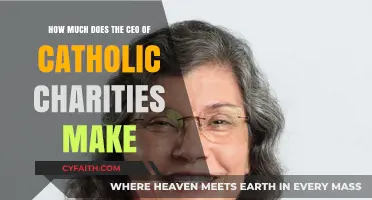 CEO Compensation at Catholic Charities: Salary Insights and Transparency