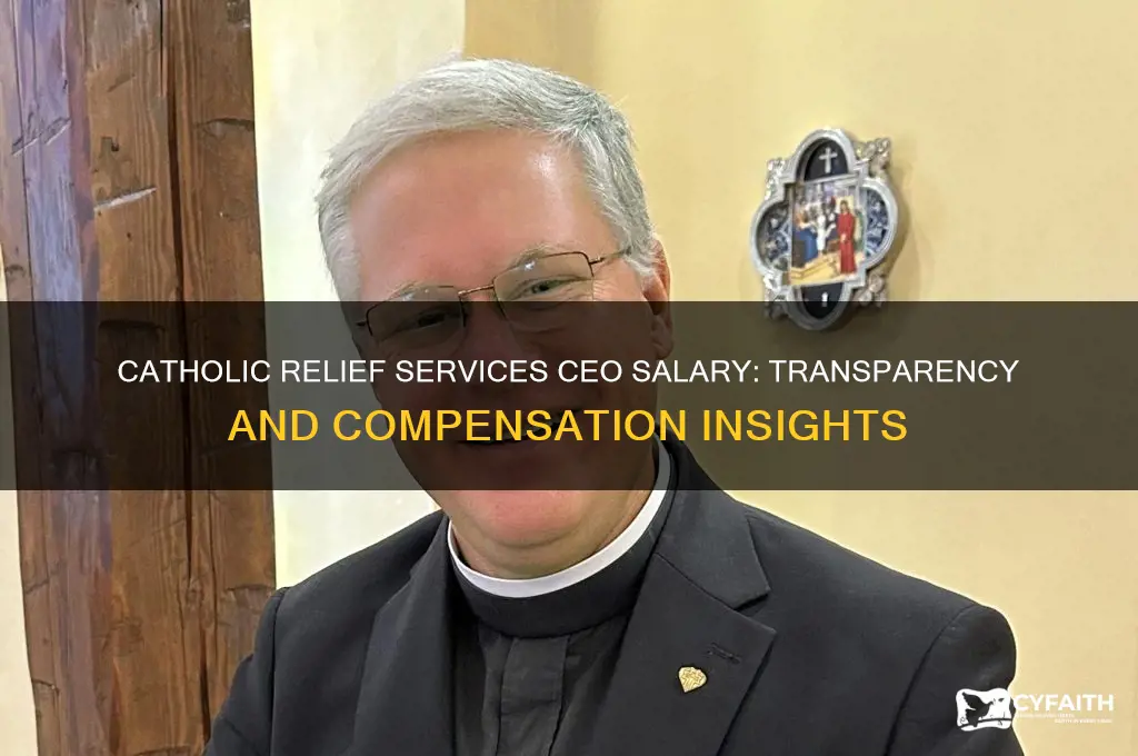 how much does the ceo of catholic relief services make
