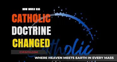 Catholic Doctrine Evolution: How Much Has Changed?