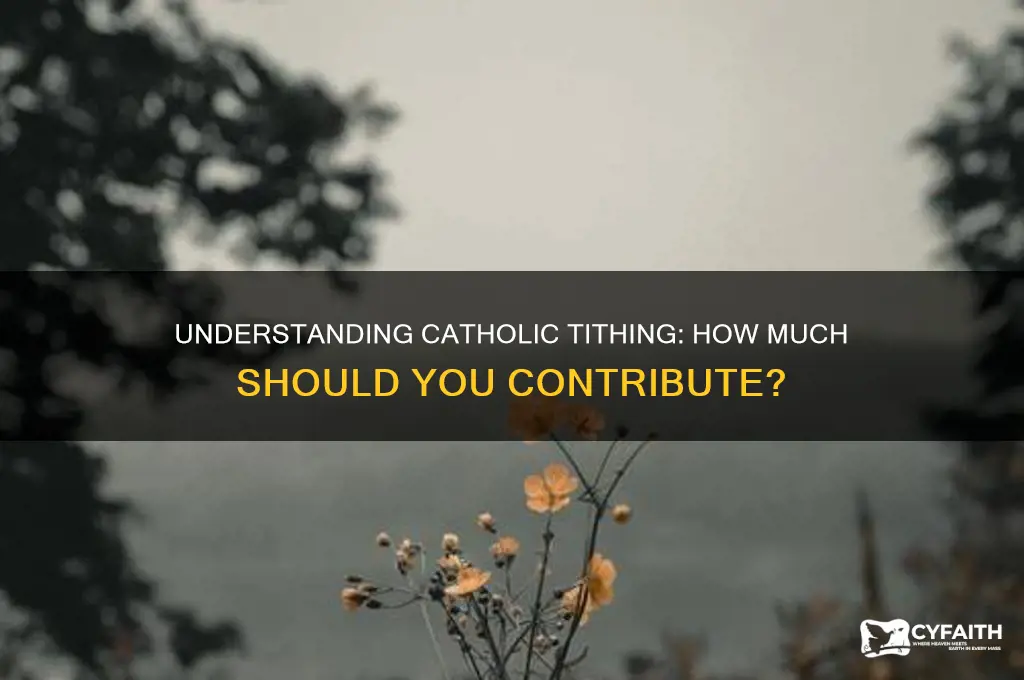 how much is catholic tithing
