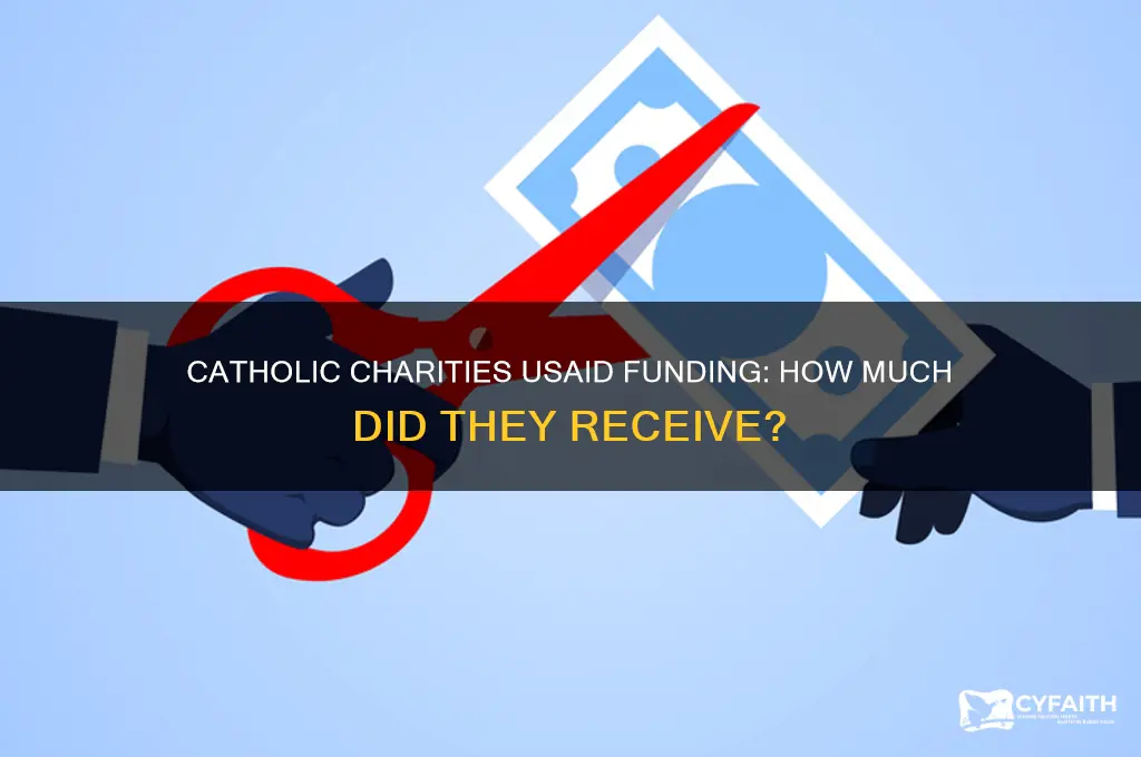 how much money did catholic charities get from usaid