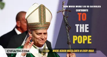 US Catholics' Financial Contributions to the Pope: A Detailed Overview