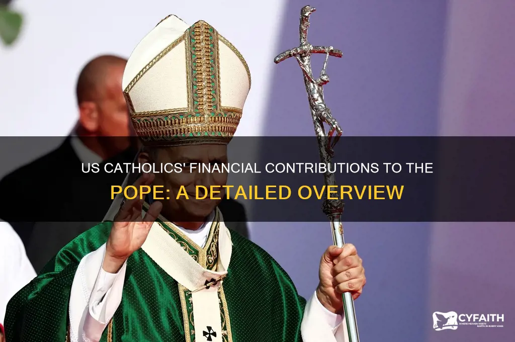 how much money do us catholics contribute to the pope