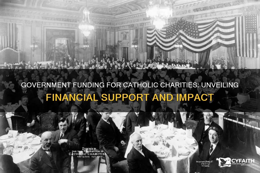 how much money does catholic charities get from the government